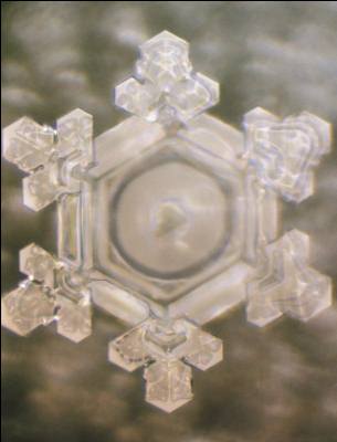 thank-you-emoto